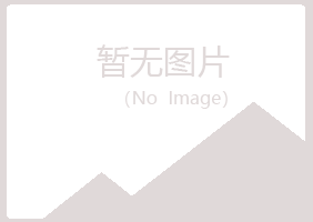 吴川向雪化学有限公司